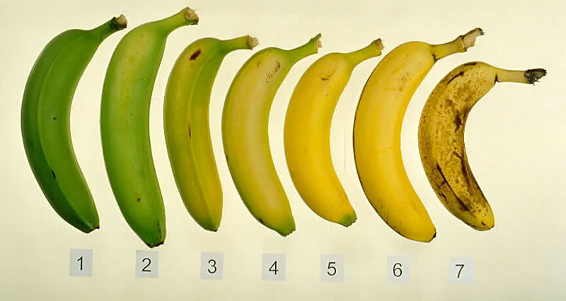 #banane_sante
