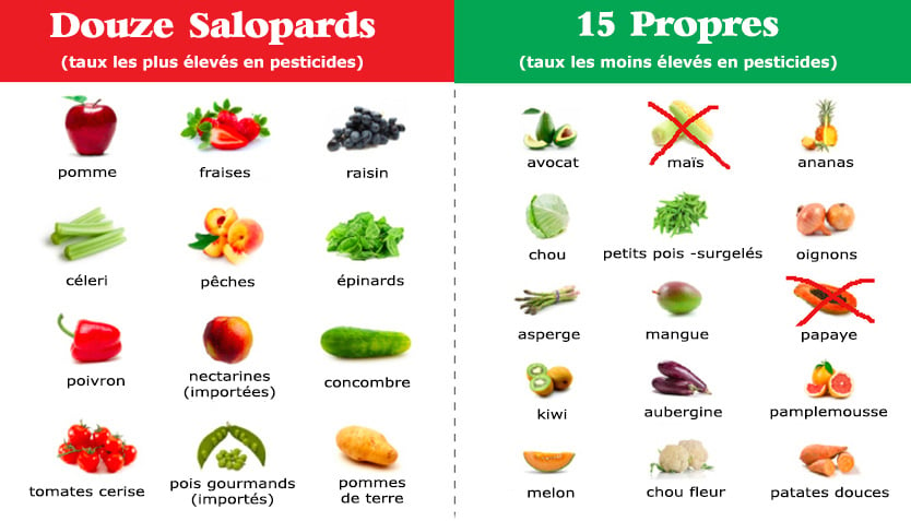 15-propes-12-salopards