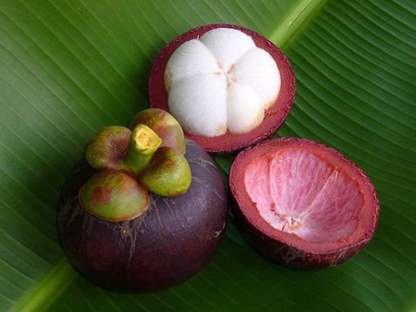 Mangoustan (ou mangouste, ou fruit des dieux)
