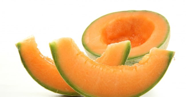 melon4