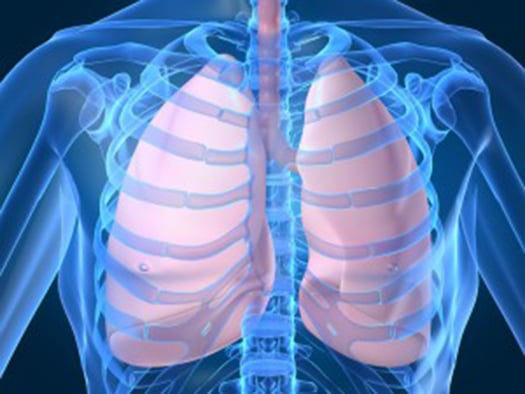 healthy_lungs_herbs-300x225