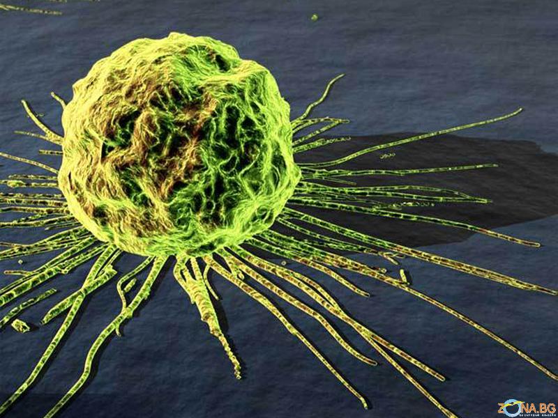 cancer-cell6
