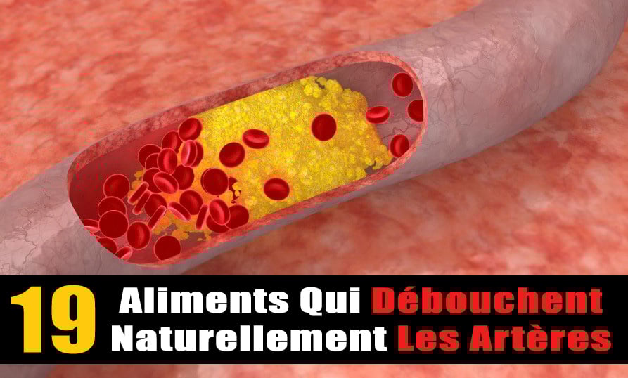 19-aliments-debouchent-arteres 19-aliments-debouchent-arteres