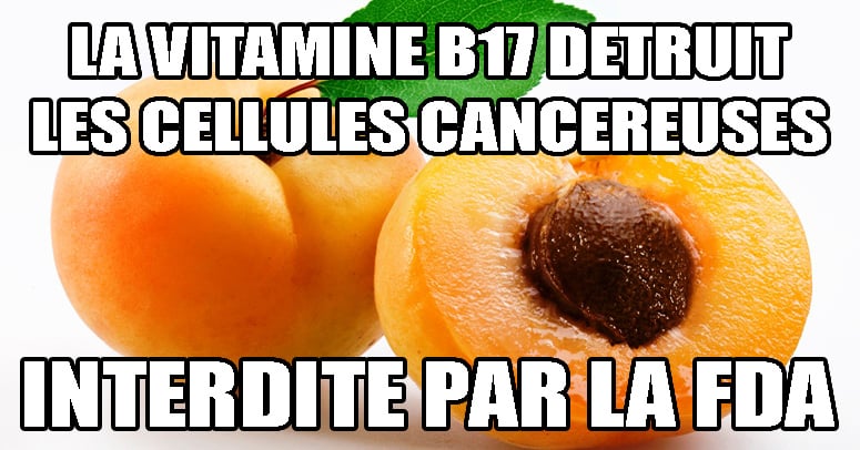 noyaux-abricots-vitamine-B17-cancer2