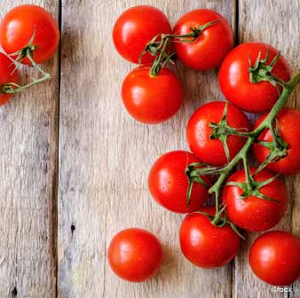 red-tomatoes