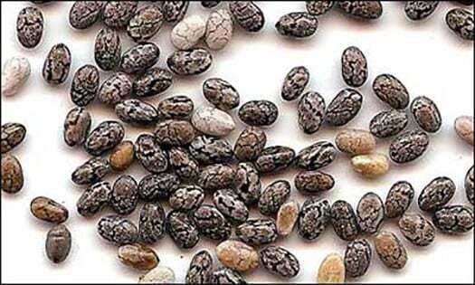 graines-de-chia