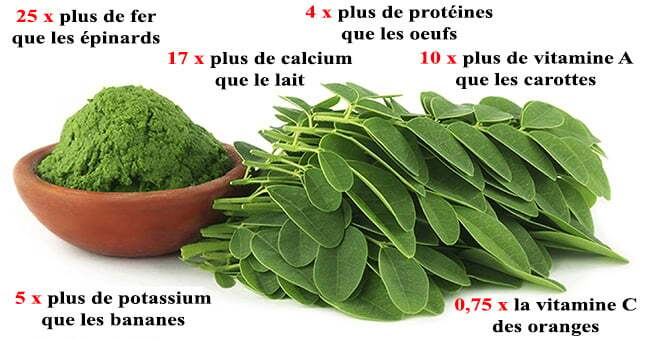 moringa