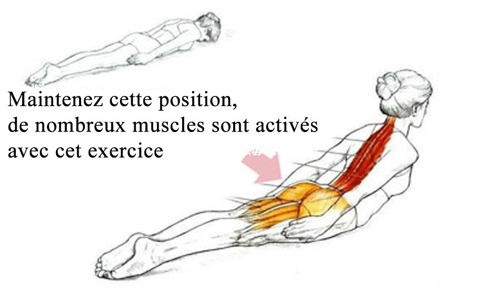 exercice-posture