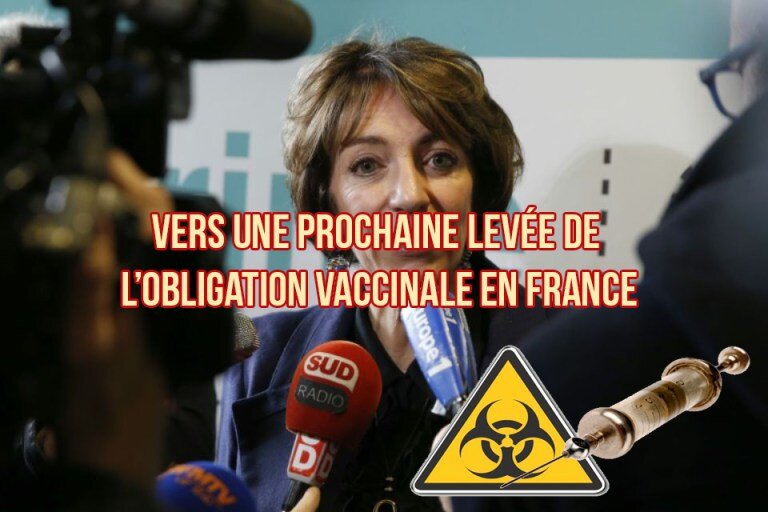 Vaccins-ministre-de-la-sante-marisol-touraine-le-22-decembre-2015-a-paris