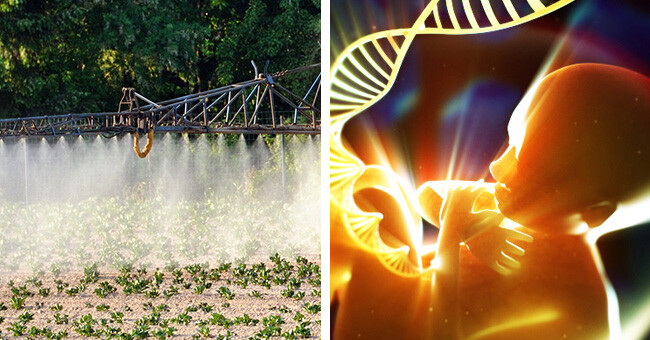 pesticides-autisme