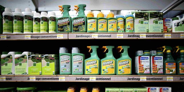 roundup-monsanto