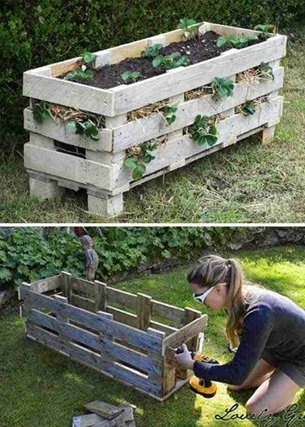 recycler-palette-bois-pour-faire-jardiniere-fraises