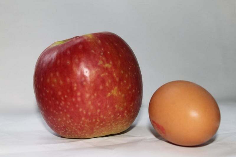 oeuf-pomme
