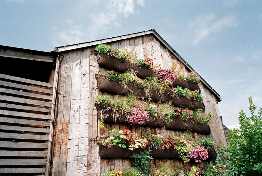 54eb5c7f16e17_-_rden-on-building-wall-how-to-plant-vertical-garden-0412-xln