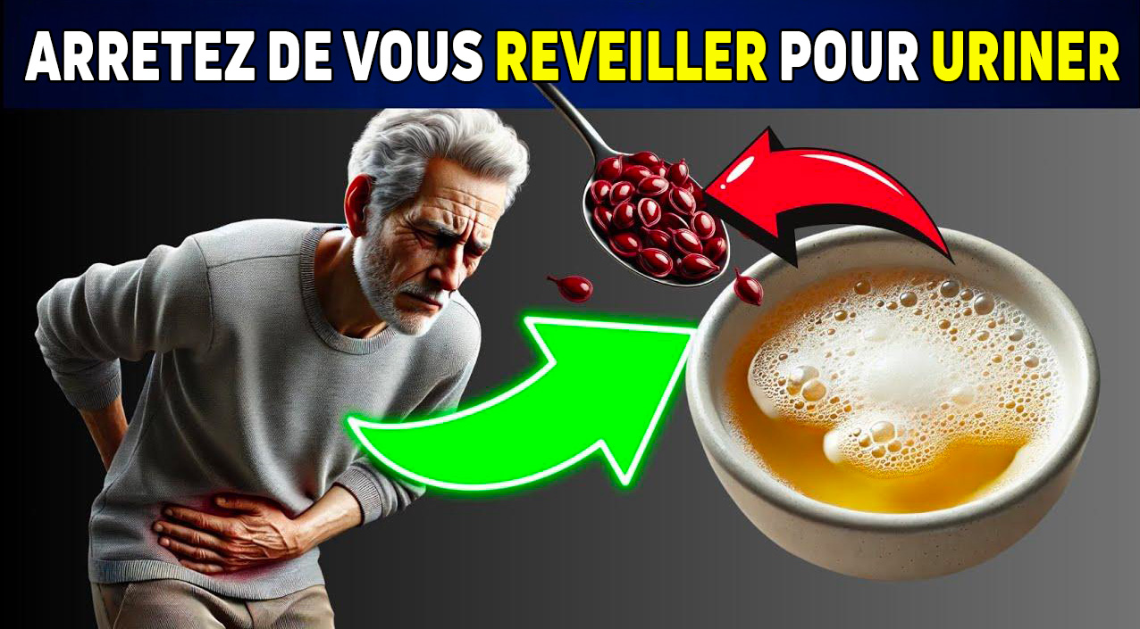 Les meilleurs superaliments pour stopper les mictions fréquentes la — free download