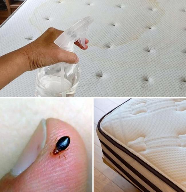 Créer un spray désinfectant maison pour matelas