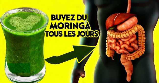 10 bienfaits incroyables pour la santé liés à la consommation quotidienne de moringa | Que se passe-t-il lorsque vous buvez du moringa ?