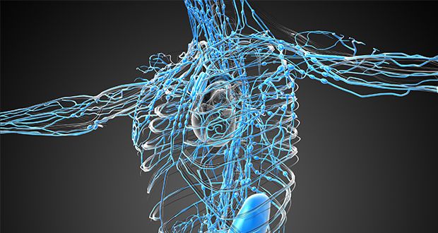 10 façons d'améliorer le fonctionnement de votre système lymphatique