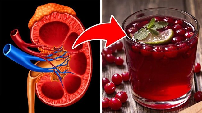 9 aliments qui nettoient naturellement vos reins !