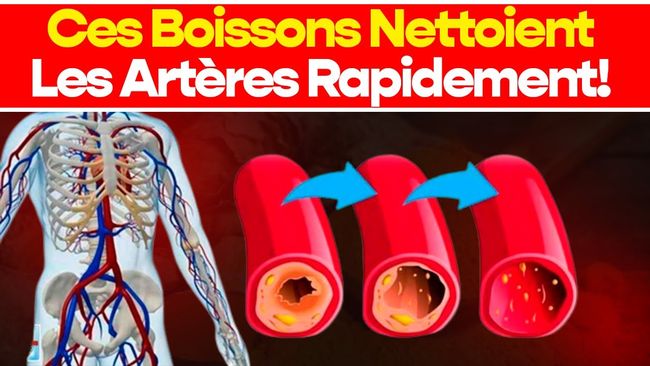 Artères propres et tension stable : les boissons qui font la différence
