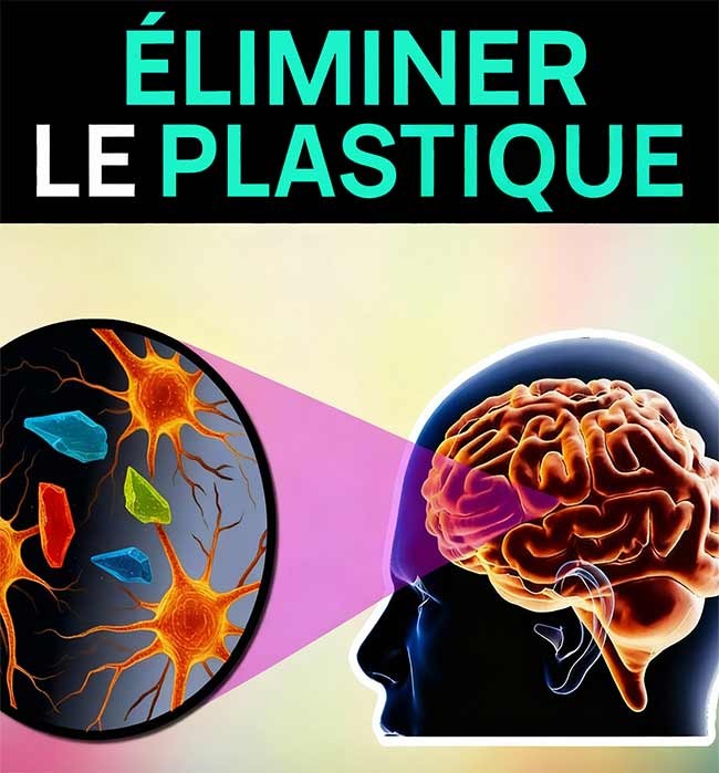 Détoxifiez votre corps des microplastiques (étonnamment simple)