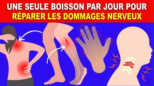 9 boissons incroyables pour réparer les dommages nerveux