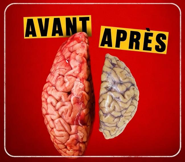 Le mensonge le plus dangereux des grandes entreprises pharmaceutiques et la sombre vérité sur le cannabis