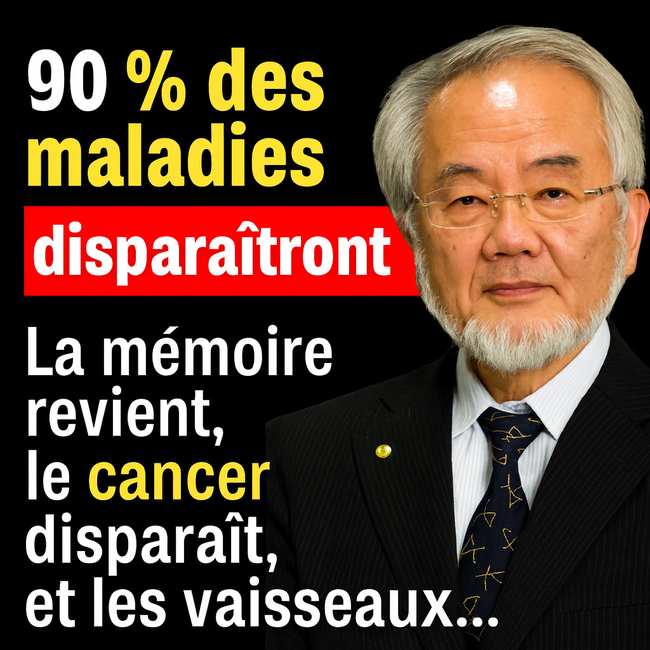 Les secrets de longévité des plus vieux médecins japonais : les aliments à consommer quotidiennement pour vivre jusqu'à 100 ans