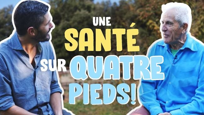 Entretien avec le Dr Tal Shaller : une santé sur quatre pieds !