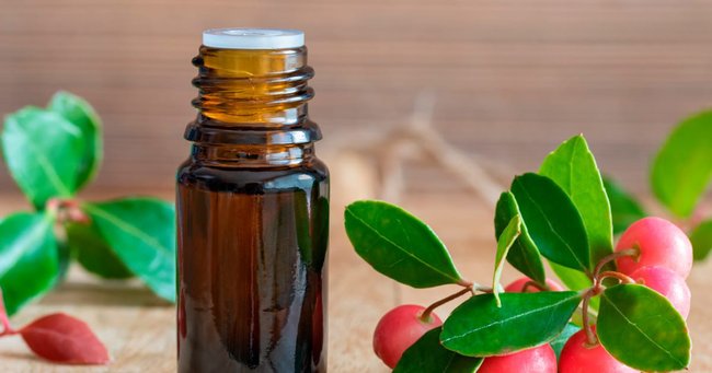 Wintergreen Oil Benefits for Muscles, Immunity, Digestion & More + Wintergreen Oil Uses and Benefits | doTERRA Essential Oils