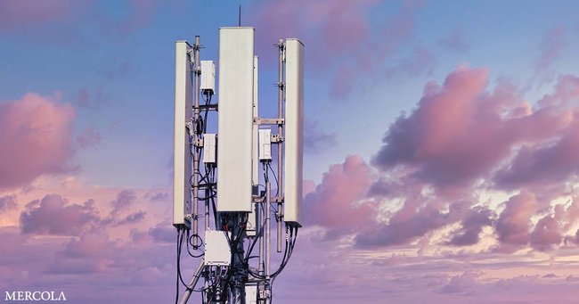 10 études détaillent les risques sanitaires liés à la 5G