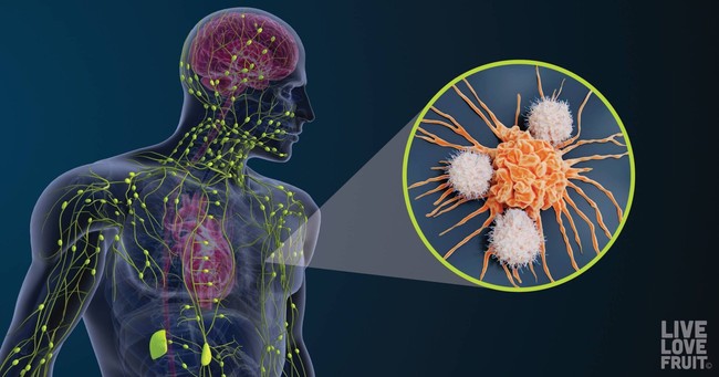10 habitudes simples pour stimuler votre lymphe et booster votre immunité