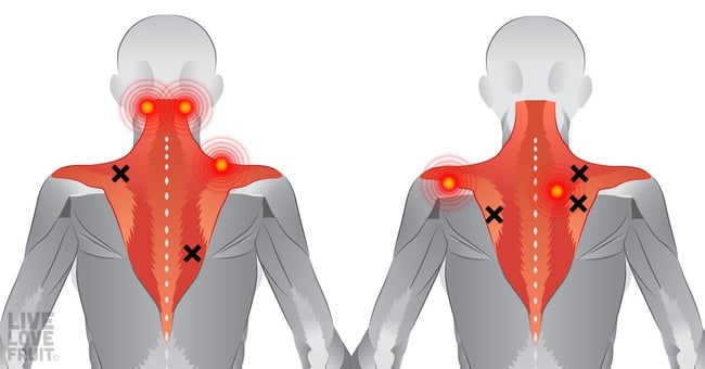 15 étirements simples pour dire adieu aux douleurs cervicales