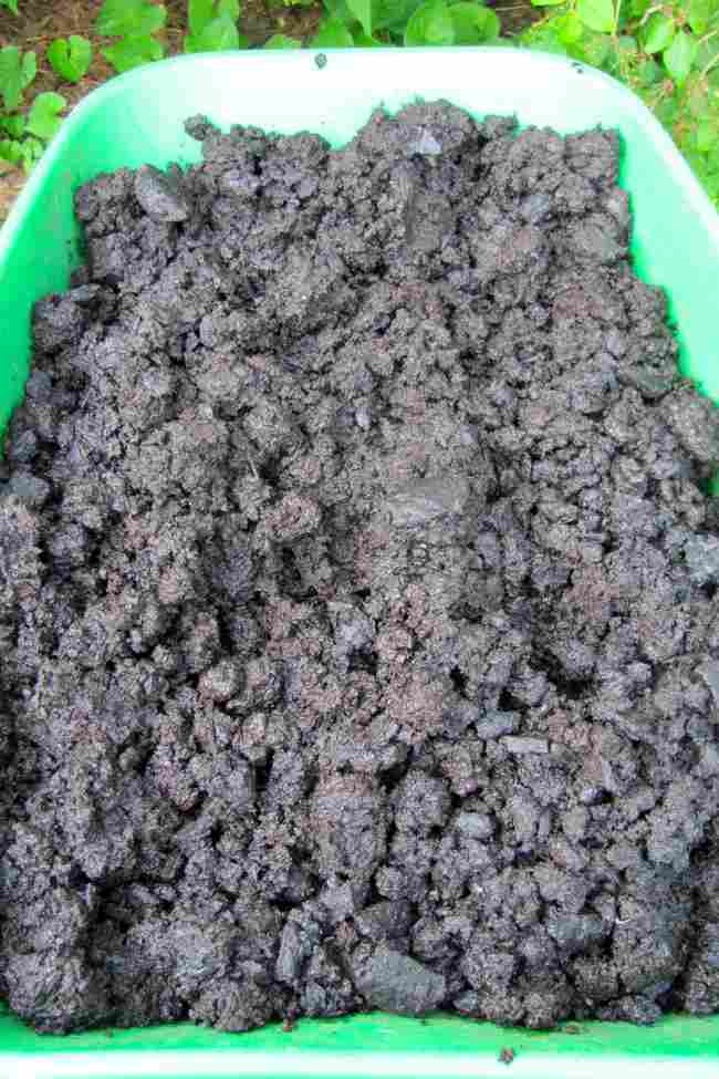 du biochar mélangé à du compost