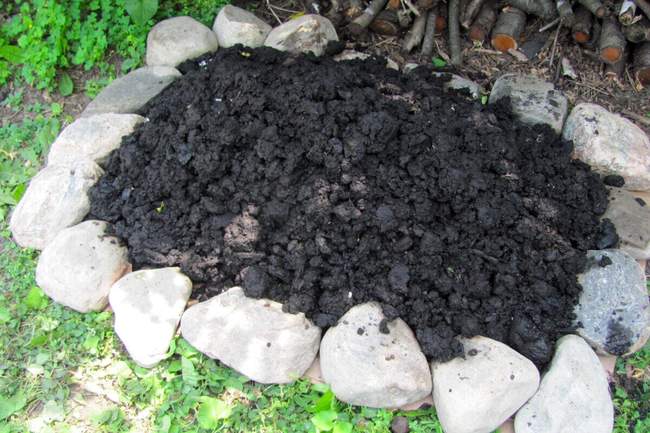 Un tas de biochar fraîchement préparé à l'ombre