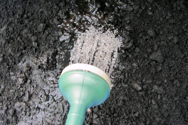 Tête d'arrosoir pour arrosage au biochar