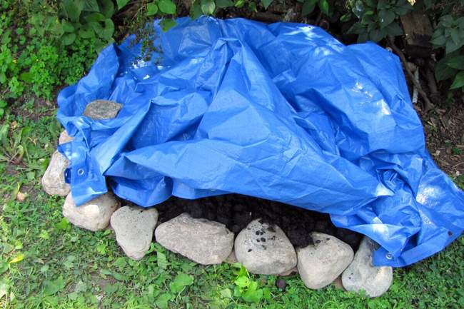 Une bâche bleue recouvrant un tas de biochar