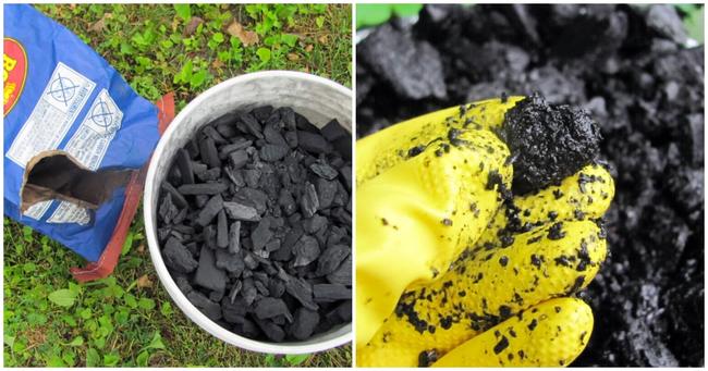 Comment fabriquer du biochar – L'amendement pour le sol qui dure éternellement