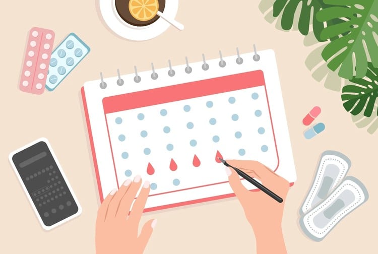 Comment le cycle menstruel influence l'appétit, le métabolisme et la nutrition