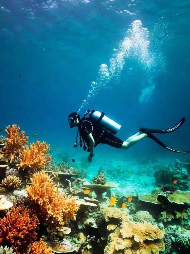 A scuba diver explores a vibrant coral reef in Bali's underwater scene.