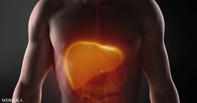 Le protocole naturel pour inverser la stéatose hépatique