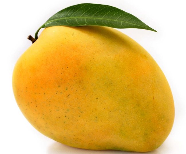 Les 9 bienfaits insoupçonnés de la mangue sur votre santé