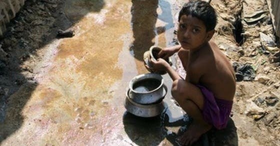 nid d'eau