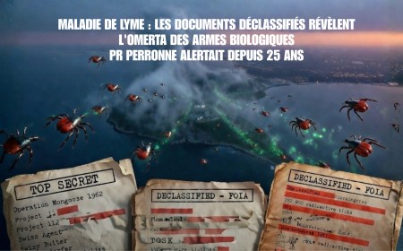 Maladie de Lyme