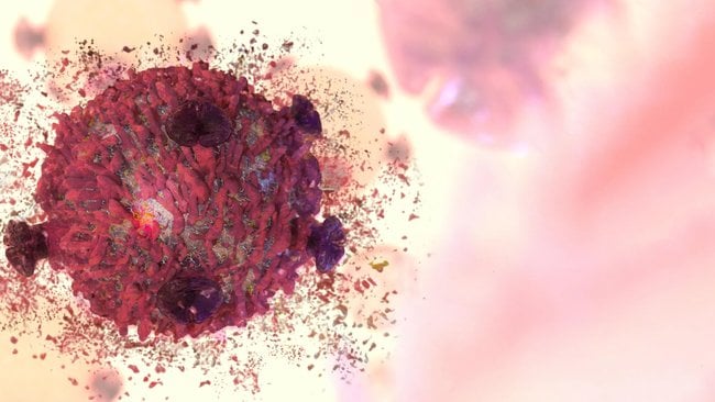 Quel est ce mystérieux composé végétal qui détruit les cellules cancéreuses ?