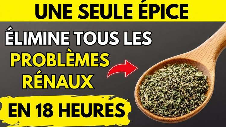 Cette épice nettoie vos reins et élimine les toxines en un clin d'œil !