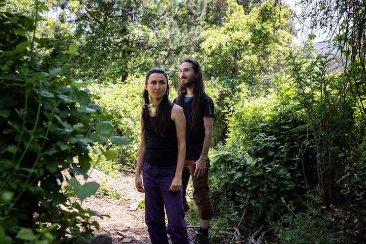 Contre la sécheresse, une forêt comestible s'épanouit dans l'Hérault