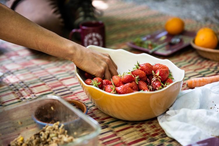 Des fraises récoltées dans leur forêt-comestible.
