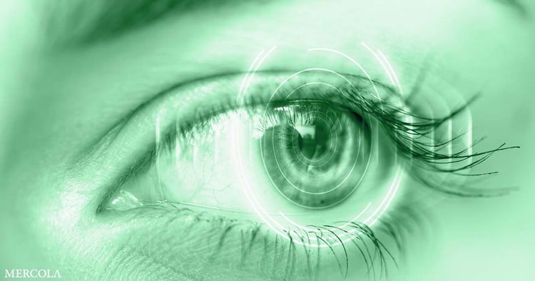 D'une vision nocturne plus nette à la guérison de la cécité permanente : comment le DMSO traite chaque stade de la perte de vision