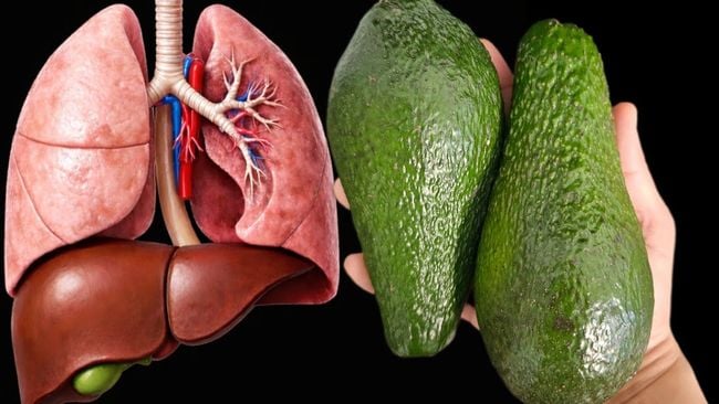 En 3 jours, votre foie et vos poumons seront comme neufs – toutes les toxines sont éliminées !🍋🔥
